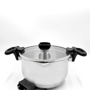 IYEN Electric Pot
